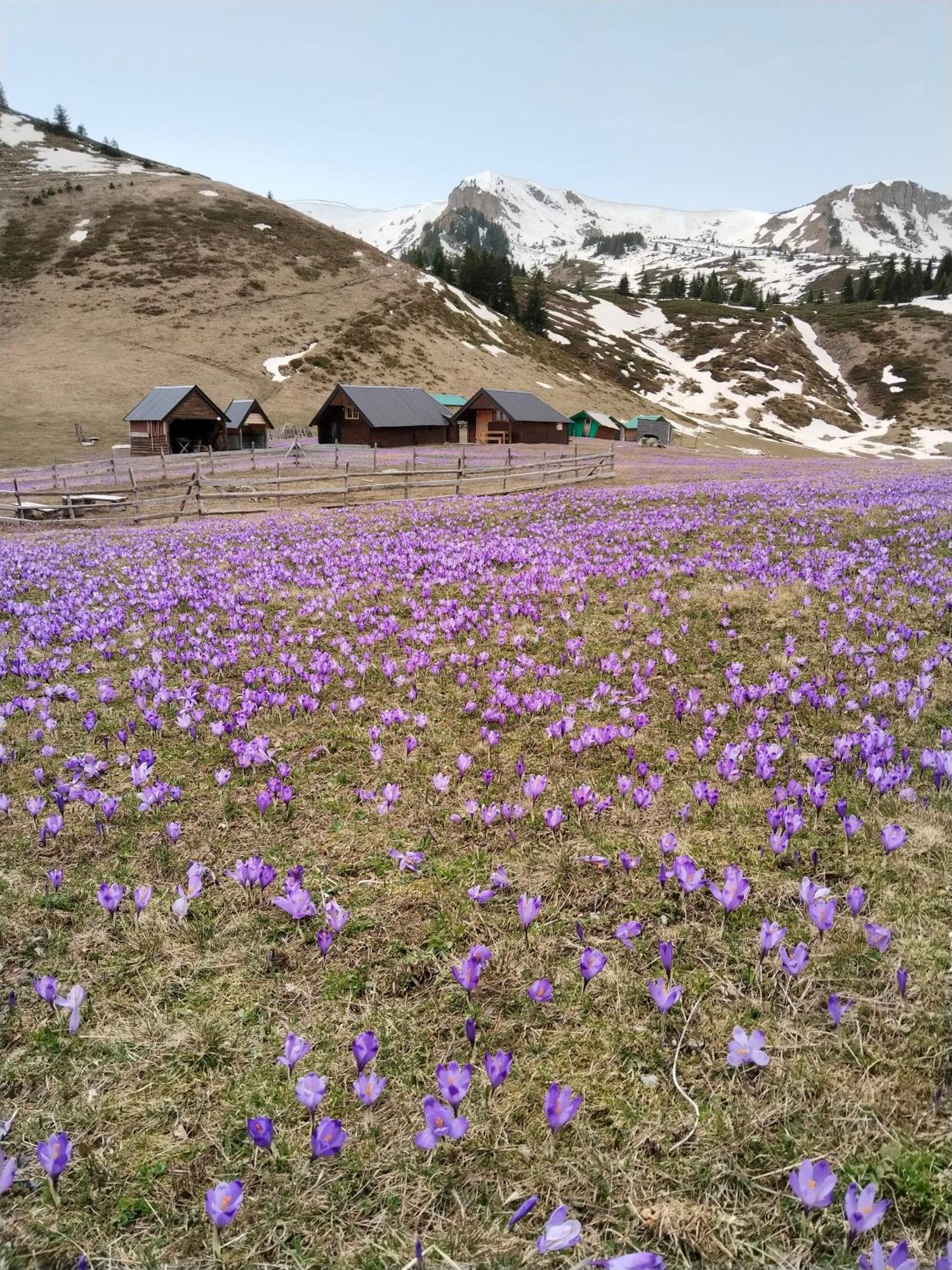 Katun Siska Medna Dolina Villa เบราเน ภายนอก รูปภาพ